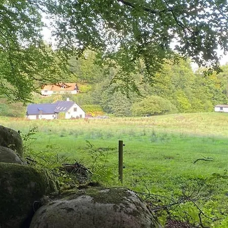 Naturperle Midt I Skoven, Ved So Og Eng Vejle