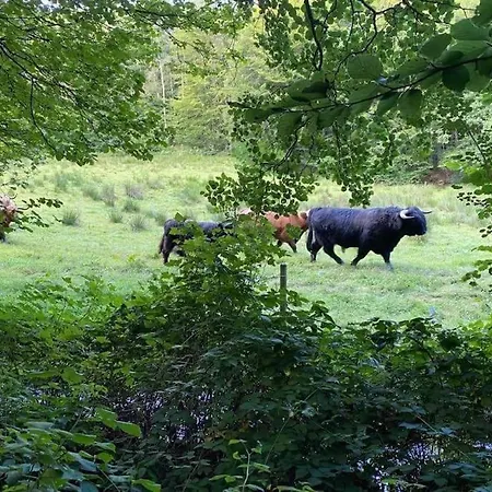 וילה Naturperle Midt I Skoven, Ved So Og Eng