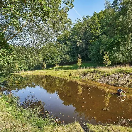 Naturperle Midt I Skoven, Ved So Og Eng וייל