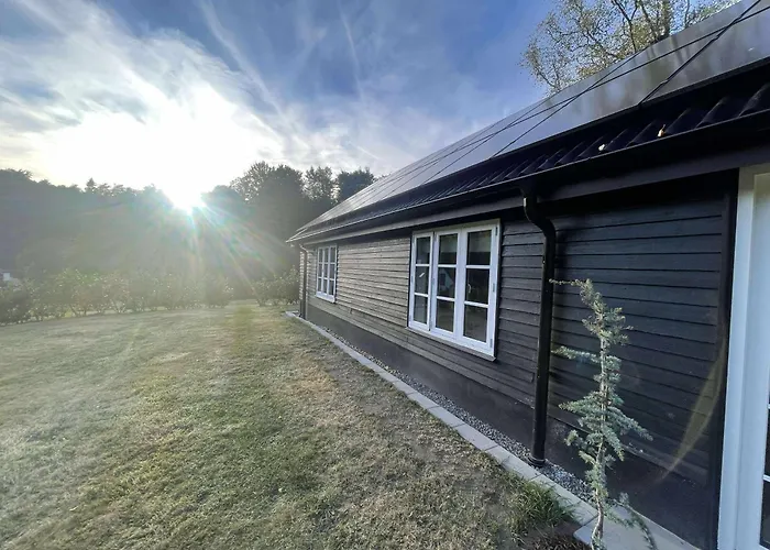 Naturperle Midt I Skoven, Ved So Og Eng Vejle