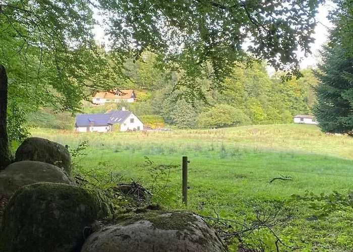 Naturperle Midt I Skoven, Ved So Og Eng Vejle