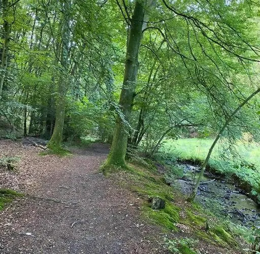 Villa Naturperle Midt I Skoven, Ved So Og Eng *