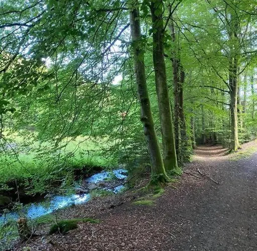 Naturperle Midt I Skoven, Ved So Og Eng Villa *