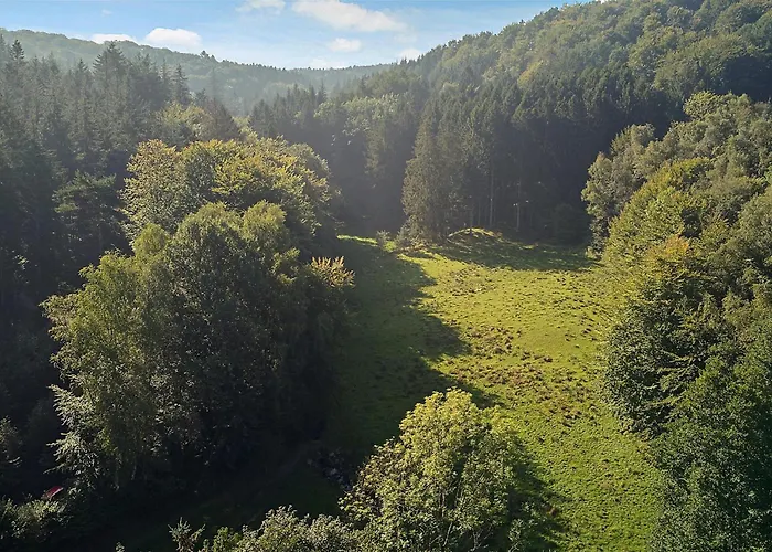 Naturperle Midt I Skoven, Ved So Og Eng * Vejle