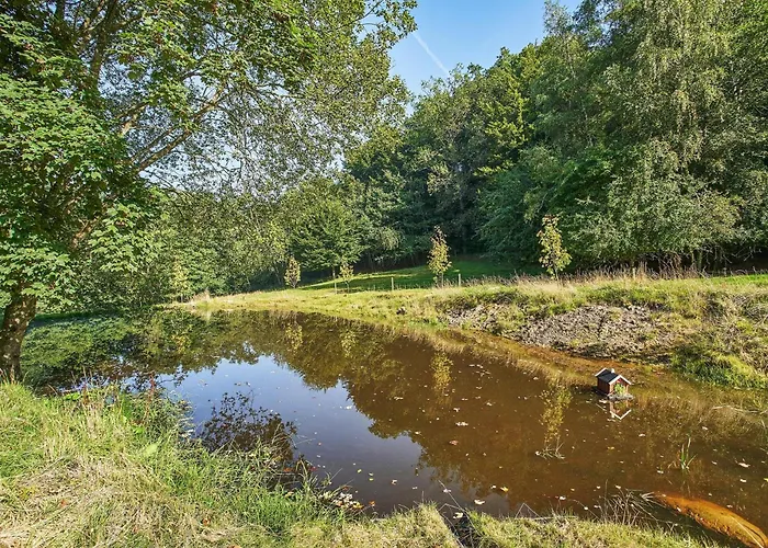 Naturperle Midt I Skoven, Ved So Og Eng Vejle